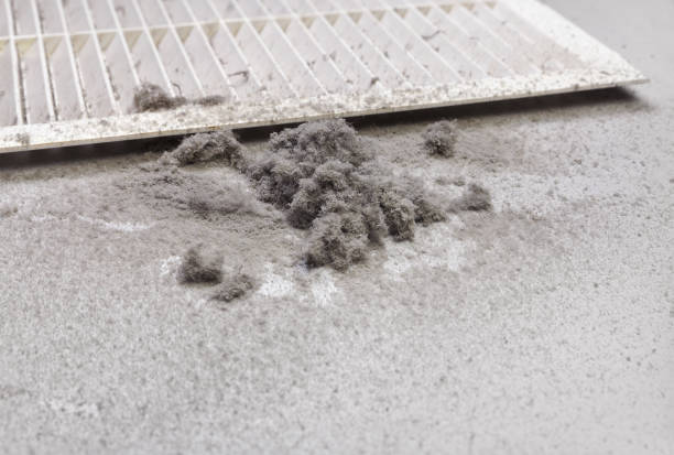 Best HVAC Air Duct Cleaning  in Millvale, PA